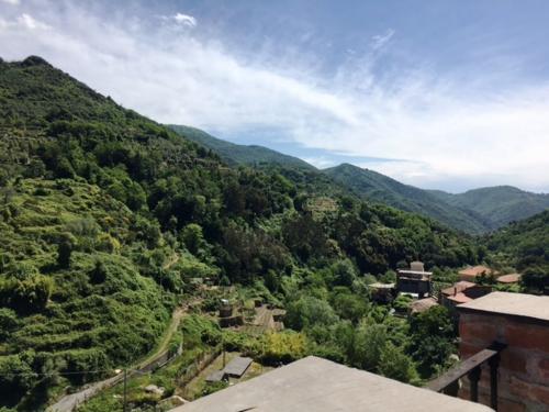 Ceriana Appartamento in Vendita