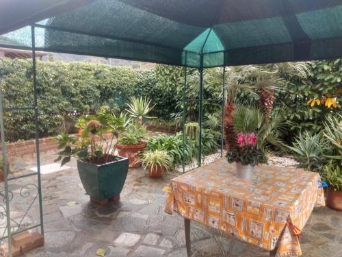 Camporosso appartamento con giardino