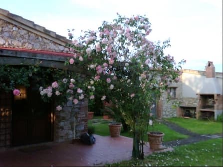 Gavorrano,Villa con piscina in vendita