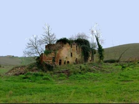 Azienda agricola con 170 ha e rustici