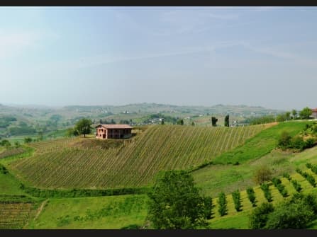 Asti Con Vigneto Villa In Vendita