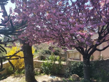 Villa near Florence for sale
