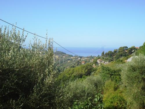 Bordighera Villa in Vendita