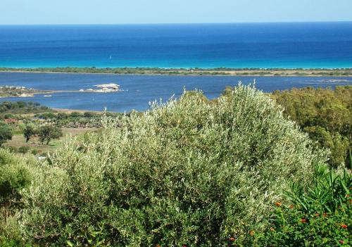 Sardegna- villa in vendita a San teodoro