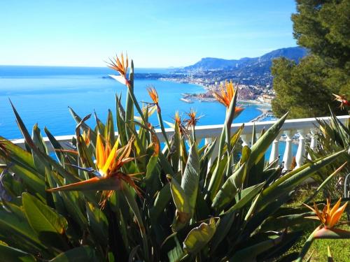 Ventimiglia, villa in vendita vista mare