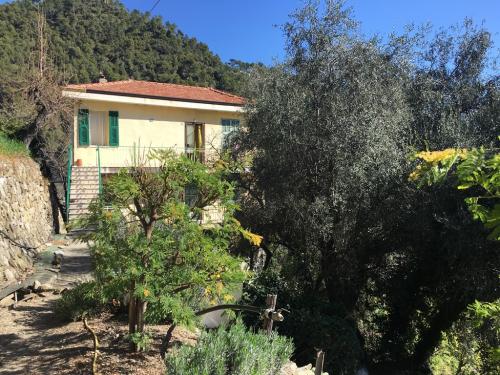 Einfamilienhaus zum Verkauf in Ventimiglia