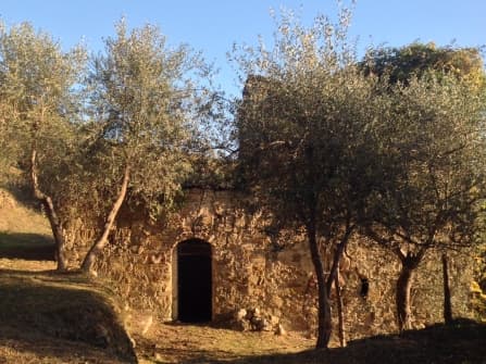 Dolceacqua land with rustic for sale