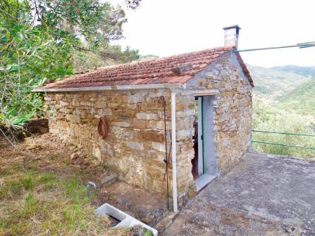 Dolceacqua land with rustic for sale