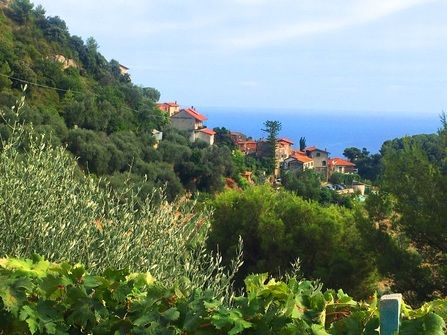 Ventimiglia villa in vendita, villa in vendit...