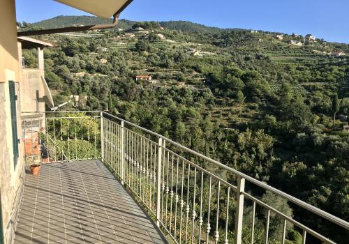 Vallebona House With Garden For Sale