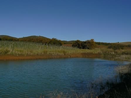 Capalbio Country Home For Sale
