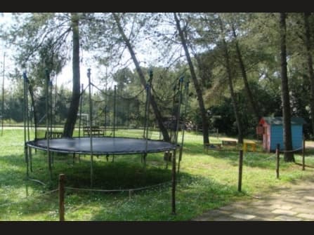 Roma vendita Appartamento