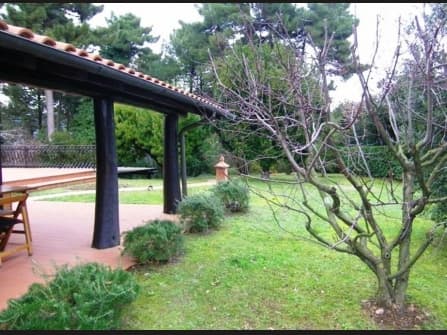 Capannori Villa In Vendita