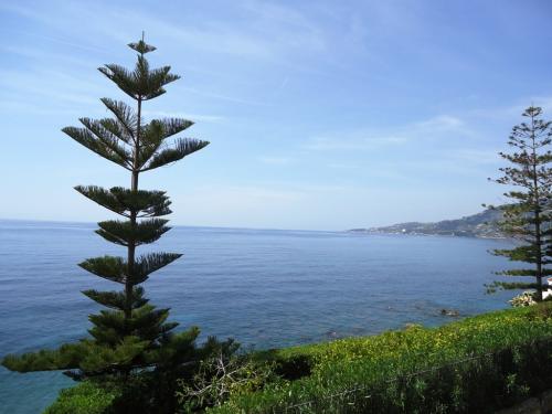 Ospedaletti Apartment Waterfront For Sale