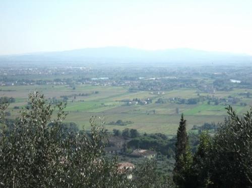 Pisa Villa For Sale