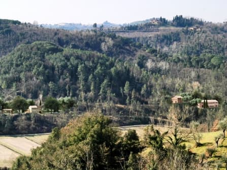 Palaia, recepero di volumetria in vendita