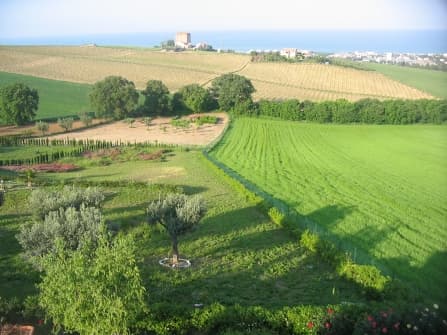 San Benedetto del Tronto Terreno in Vendita