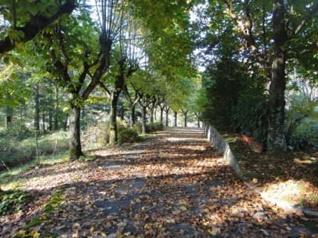 Lucca Villa In Vendita