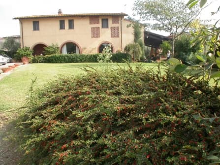 Typical Tuscan villa for sale in Pisa