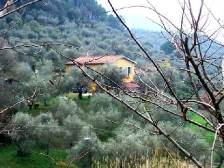 Country villa with park