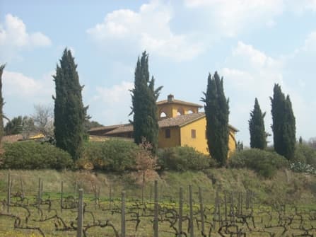 Agricultural estate and wineries