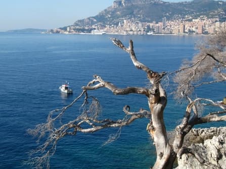 Villa di lusso a Roquebrune-Cap-Martin