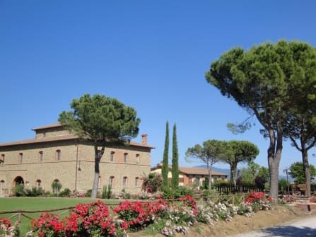 Farm in Tuscany For Sale
