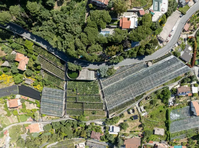 Sanremo, terreno vista mare - foto 3