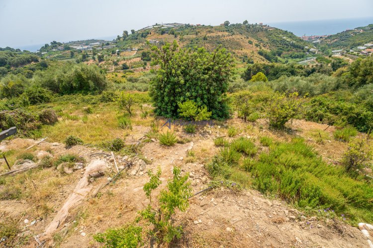 MAT04357