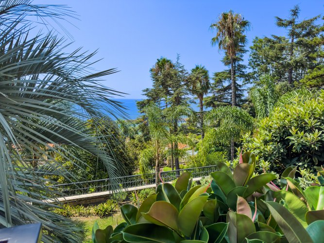 IMG_1386