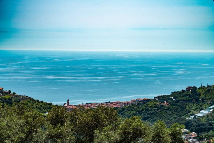 20250503114356-43.jpg