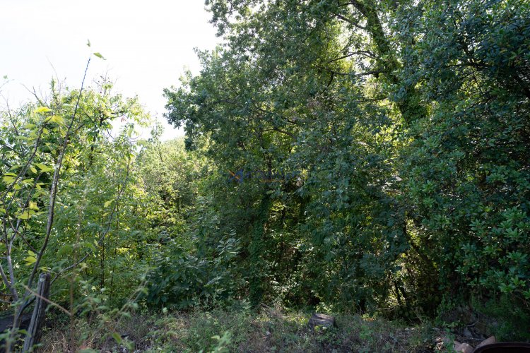 MAT04602