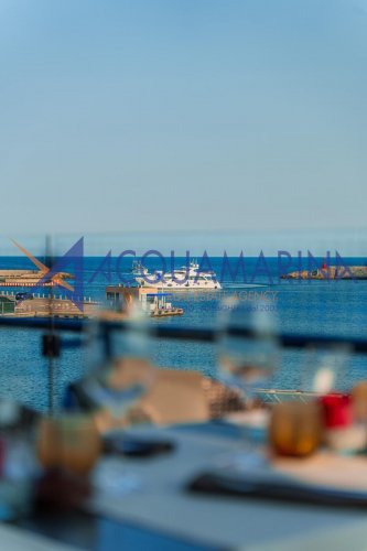IMG_3800