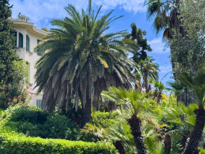 Ferienwohnung in Bordighera mit Meerblick zu vermieten - foto 6