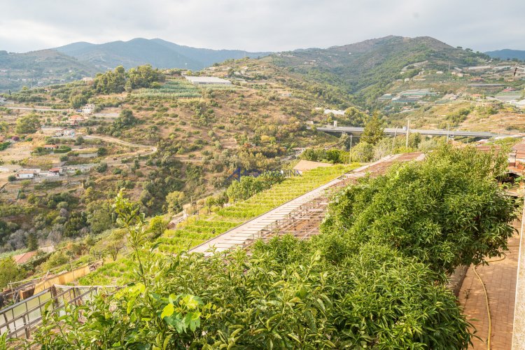 Poggio di Sanremo, casa bifamiliare vista mare - foto 44