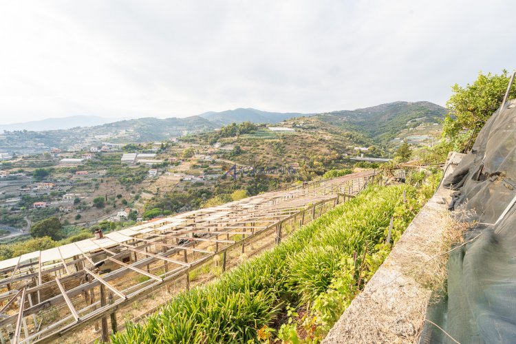 Poggio di Sanremo, casa bifamiliare vista mare - foto 49