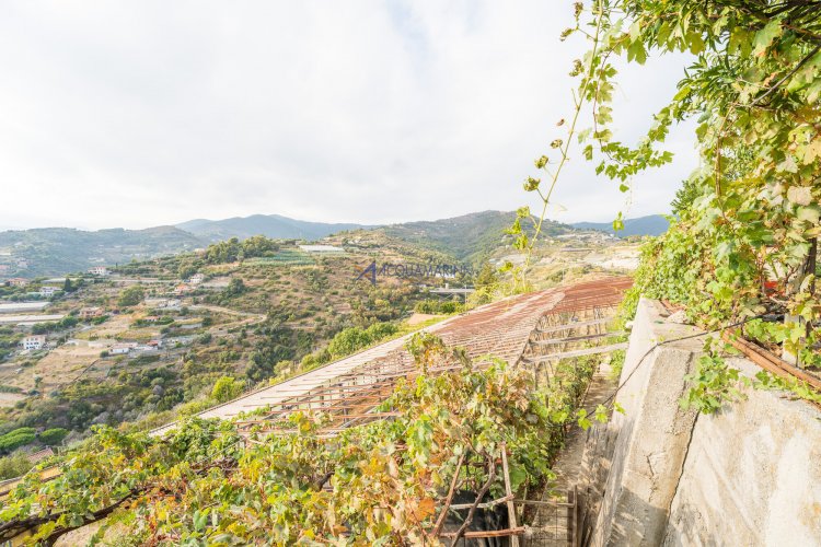 Poggio di Sanremo, casa bifamiliare vista mare - foto 51
