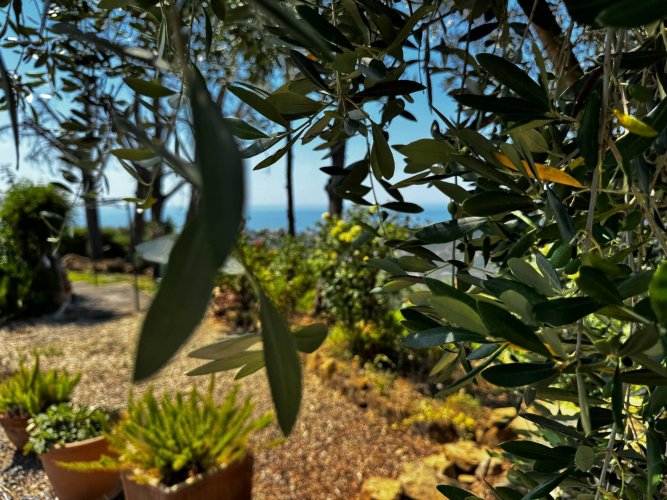 Sanremo, villa with sea view - foto 19