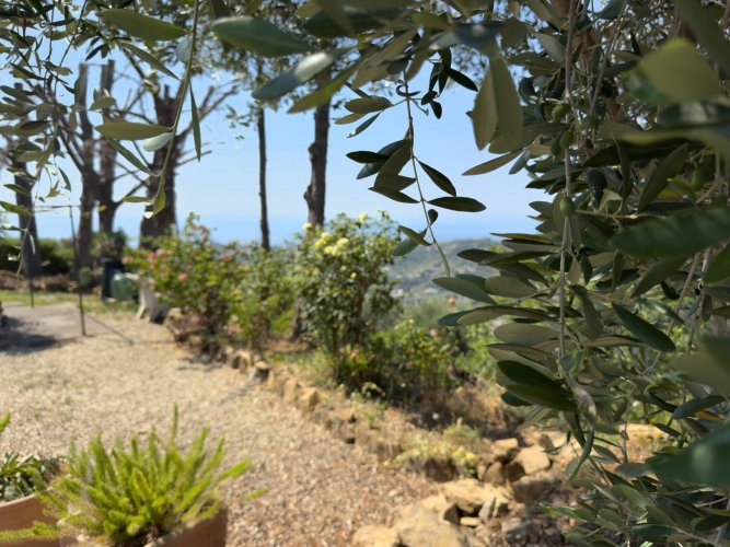 Sanremo, villa with sea view - foto 24