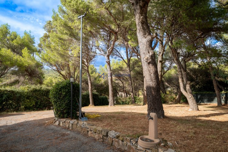 Cipressa : villa jumelée de prestige avec vue sur la mer, piscine et parc. - foto 18