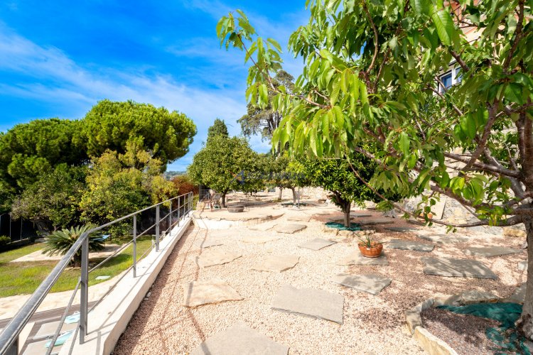 Bordighera, prestigieuse villa avec vue sur la mer et piscine. - foto 3