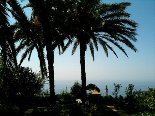 Bordighera villa vista mare i…