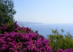 Buy House in Liguria or French Riviera